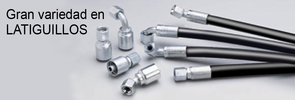 Galería de imágenes